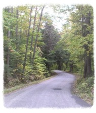 Windy Road